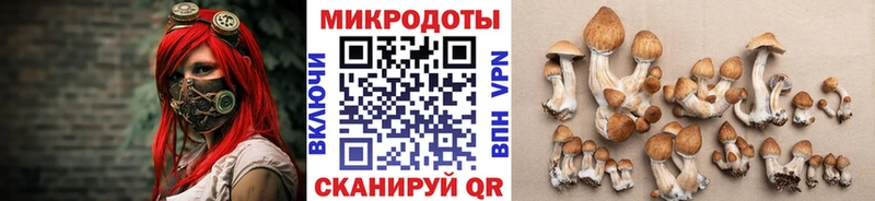 Псилоцибиновые грибы ЛСД  Нерехта 